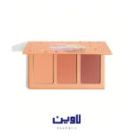 پالت رژگونه پودری 3 رنگ پرایوت کابانا